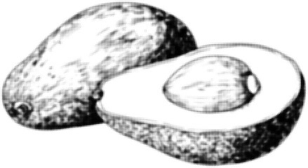Wall Mural - halftone illustration of sliced avocado showing seed in monochrome style