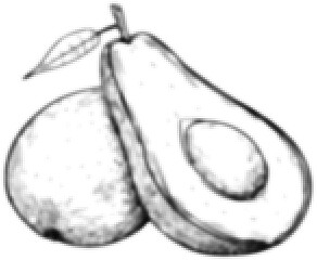 Wall Mural - halftone illustration of whole and sliced avocado with leaf in monochrome