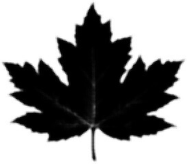 Wall Mural - black halftone maple leaf silhouette, nature symbol