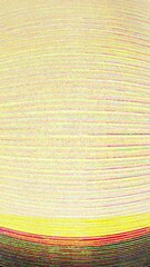 Wall Mural - vertical static distortion effect overlay with vhs glitch noise for professional mobile phone video 