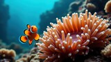 Clownfish near an anemone in underwater scenery.
