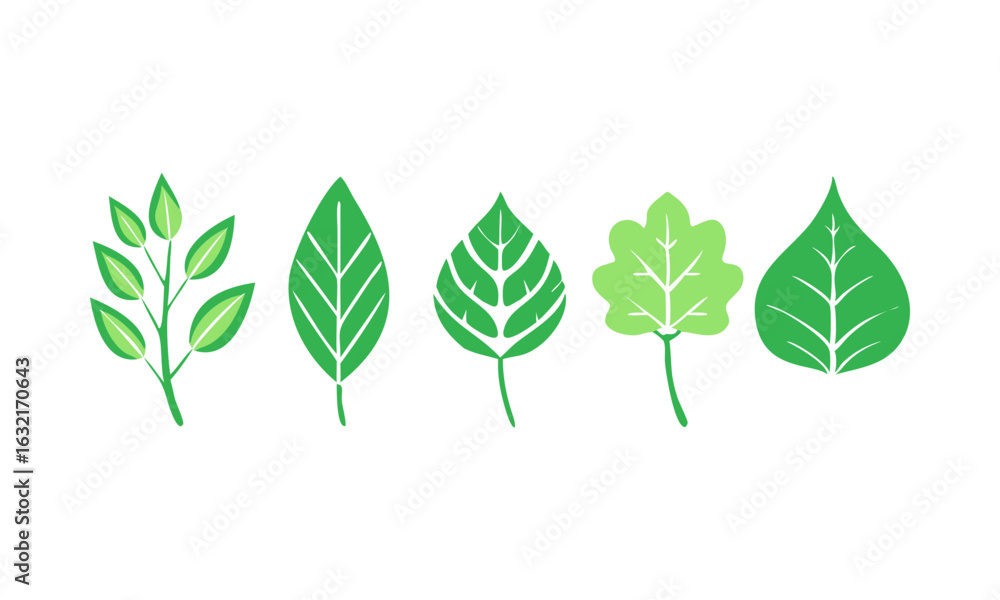 Download Set Of Leaf Icons. Leaves Icon. Leaves Of Trees And Plants ...