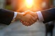 © Igor - Business Handshake with Sunlight Background