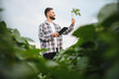 © Serhii - Agronomist examining soy crop in agricultural field
