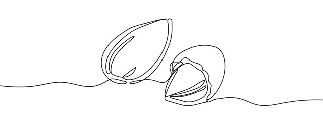 Wall Mural - Continuous line vector of almond seeds. Food illustration. editable stroke.