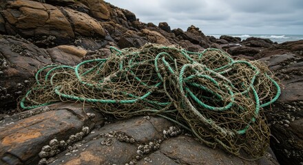 Weathered Fishing Net on Rocky Shoreline, Cloudy Sky, Coastal Landscape.