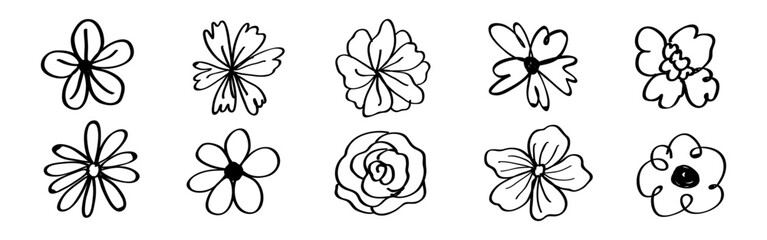 Wall Mural - black and white floral doodles. simple flower sketches. hand-drawn flower designs. variety of flower