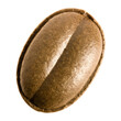 © Ropia - Oval brown pellet with central groove isolated on a transparent background single