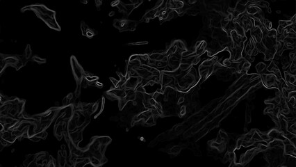 Wall Mural - dark abstract digital texture with fine, glowing white contour fluid and chaotic design. silk and ba