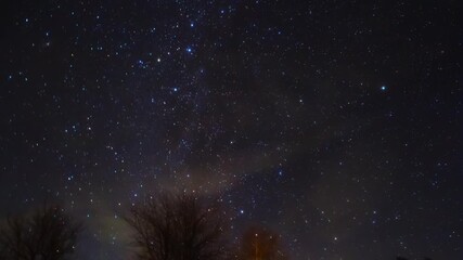 Wall Mural - milky way star-trails and rural countryside tree silhouettes. time-lapse video.