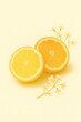© Husen - Halved lemon and orange with delicate white blossoms.