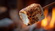 © Tiara - Crispy roasted marshmallow being held over fire flames