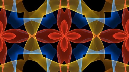 Canvas Print - symmetrical floral-like shapes in red, yellow, and blue are on a stark black background