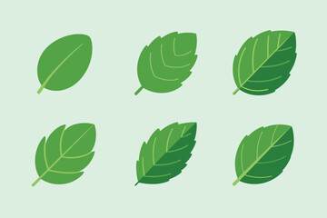 Six vibrant green leaves with detailed veins on a light green background