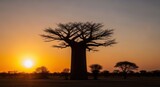 A baobab tree silhouetted against a vibrant orange sunset sky in an African landscape.