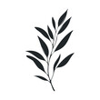 © Mr. Png - Monochrome silhouette of minimalist botanical leaf design