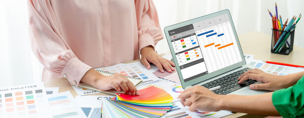 Wall Mural - project planning software for brisk business project management on the computer screen showing timel