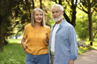 © New Africa - Lovely senior couple walking together in park