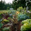© heri - Rows of cultivated crops in a rural garden, reflecting the essence of organic farming