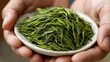 © Iurii - Plucking fresh Darjeeling First Flush tea leaves in a serene hillside plantation