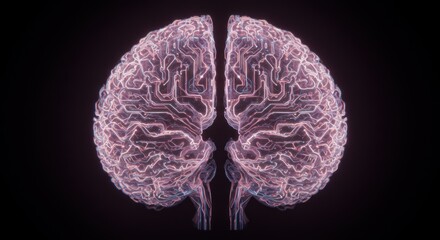 Wall Mural - Glowing Circuit Brain: Digital Neural Network on Black Background