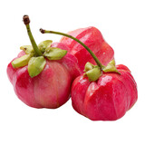 Vibrant Tropical Garcinia: A close-up shot displays a collection of vibrant, ripe garcinia fruits, known for their rich flavors.