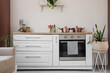 © Pixel-Shot - Interior of stylish kitchen with white counters, houseplants and utensils