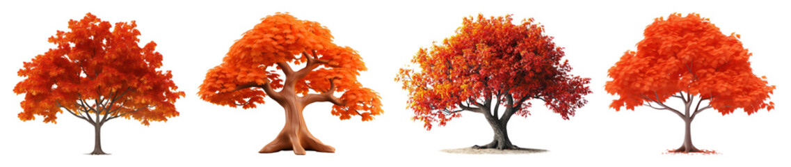 PNG Vibrant autumn trees illustration, element set on transparent background