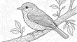 © Vector Vertor - Bird coloring page printable for adults and kids detailed line art