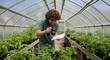 © BazCam - Growing Green: A Greenhouse Farmer's Journey