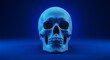 © Nizam - skull on black background