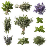 set of herbs