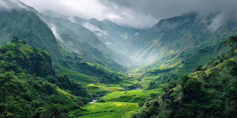 Wall Mural - landscape with green rice terraces in the mountains in fog in Asia in Vietnam. Panoramic top view from above of rice checks in a field in summer in Thailand