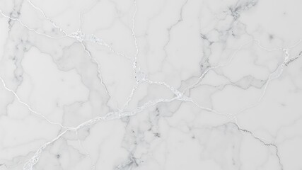 Illustration of a closeup view of a white marble surface with intricate gray veins