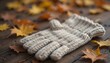 © 건호 김 - 니트 장갑과 나뭇잎