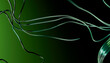 © Westend61 - Abstract green 3d render with flowing lines on a dark background