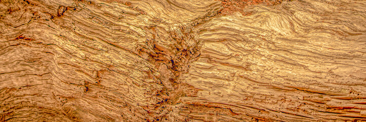 Abstract natural background texture of old worn weathered wood grain