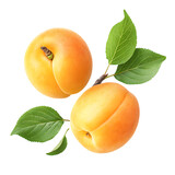 Two ripe apricots with green leaves isolated on transparent background