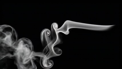 Wall Mural - Abstract White Smoke on Black Background: Detailed Study of Swirling, Flowing Forms in High Contrast Lighting, Creating an Ethereal and Elegant