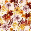 © Nastasya - Seamless autumn pattern with hand-painted watercolor chrysanthemums, cosmos, maple and oak leaves in warm earthy tones. Ideal for textile design, wallpaper, packaging, and seasonal decor.