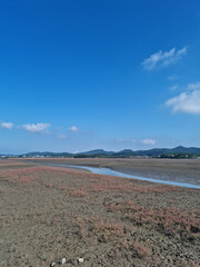 Wall Mural - This is a view of Korea's west coast with chilmyuncho.