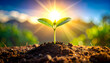 © T. Supisararaviwong - Young green plant seedling showing new growth from earth. Bright beautiful sunlight in nature creates feeling of hope for new life and fresh beginning