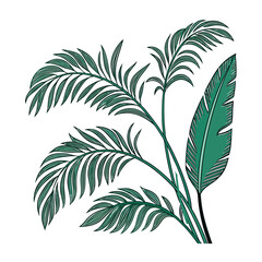  palm tree leaves isolated on white background