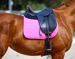 © Sem - Horse with pink saddle pad and black leather saddle