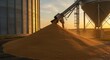 © Luz - Grain harvest and storage agriculture farming farm silo sunset golden hour rural landscape countryside