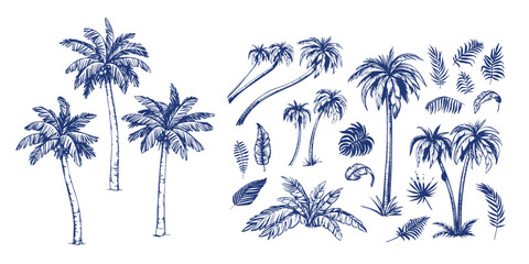 Hand drawn palm trees black ink sketch set. stock illustration