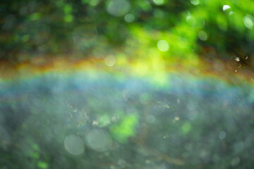 Wall Mural - Defocus light natural background green and rainbow.