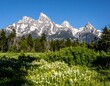 © ari - Snowy peaks, lush meadow, clear sky