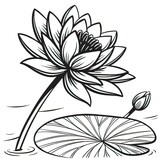 lotos black and white image