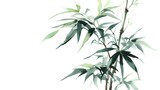 Delicate bamboo illustration in muted tones.